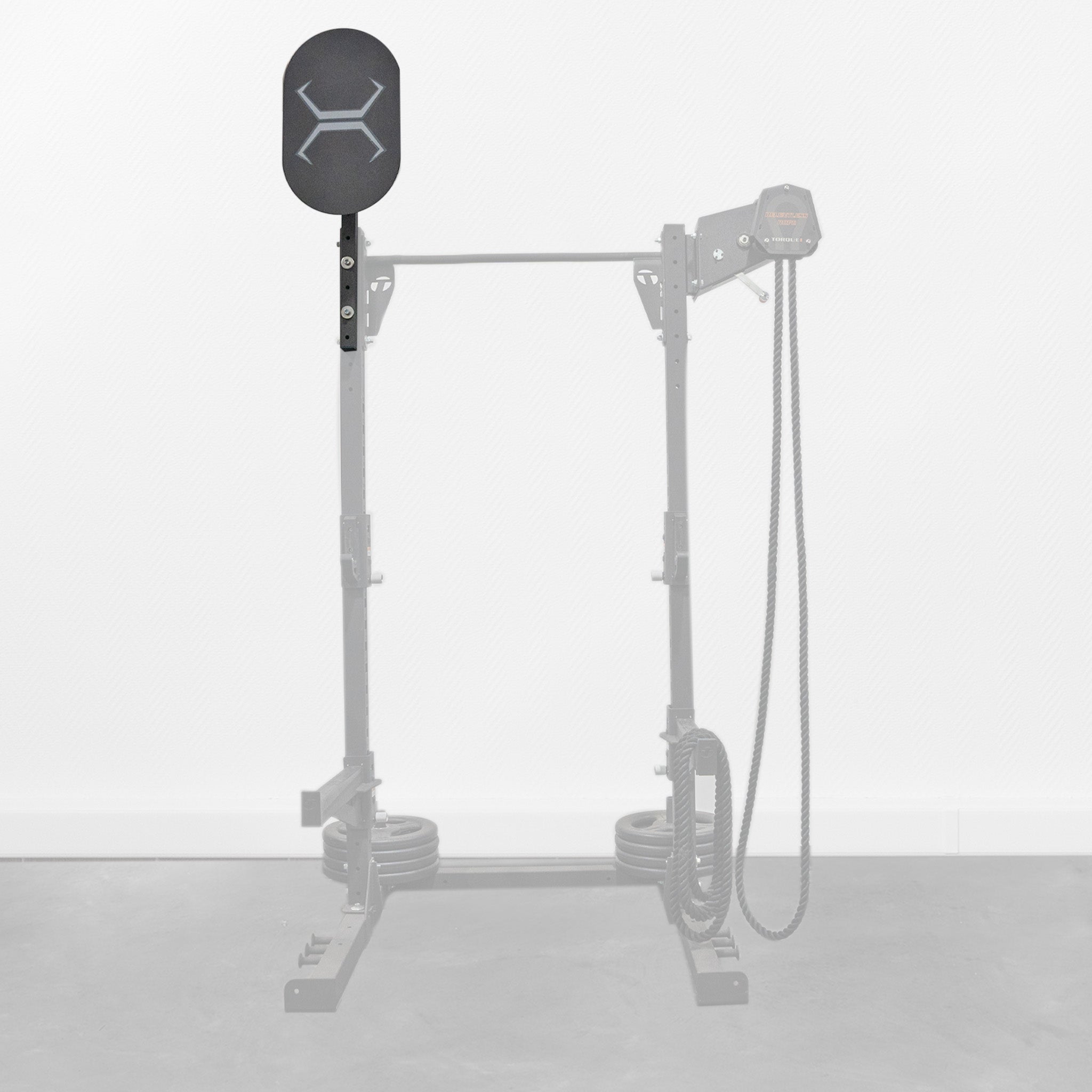 Torque Fitness Ball Target - Superior Health & Fitness Solutions