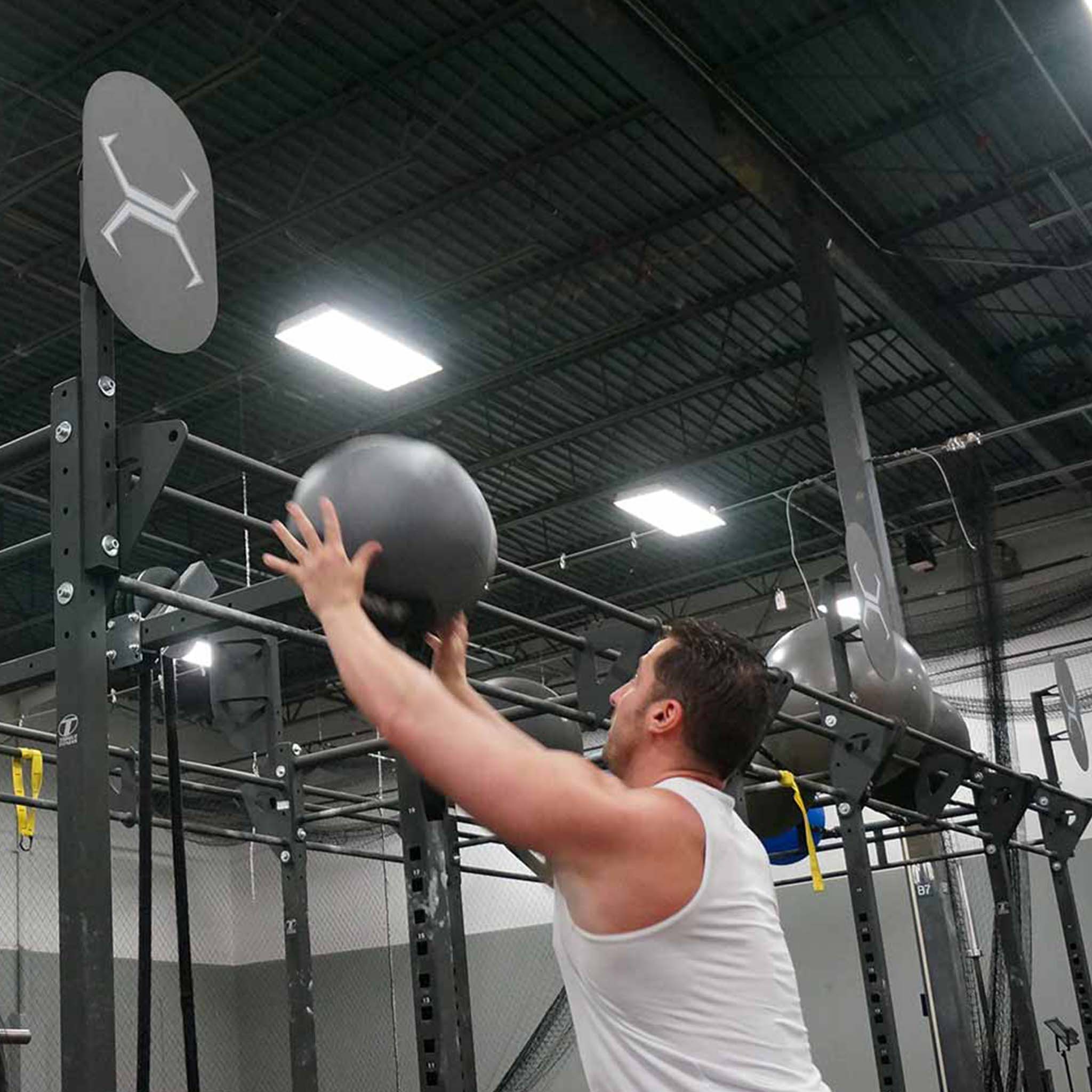 Torque Fitness Ball Target - Superior Health & Fitness Solutions