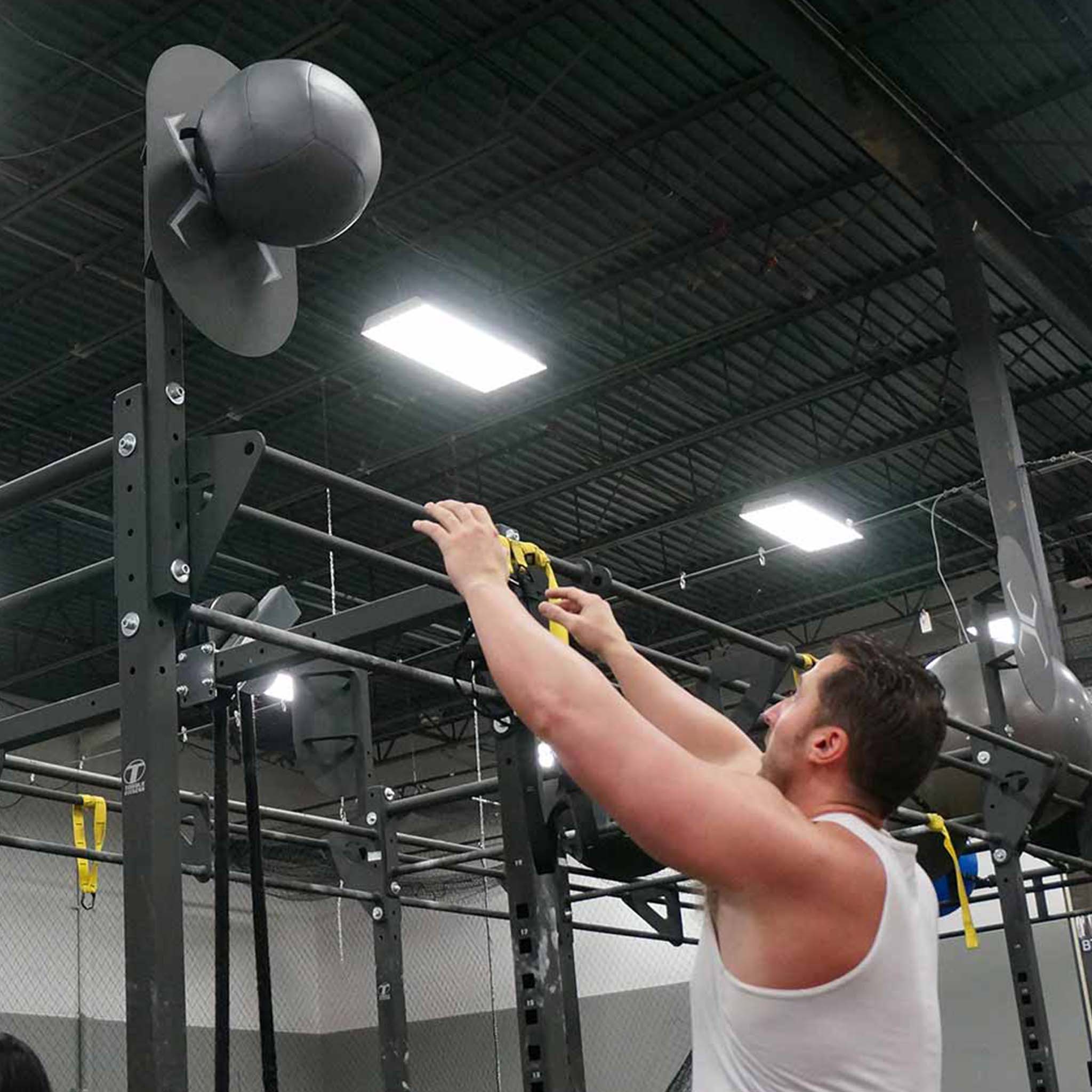 Torque Fitness Ball Target - Superior Health & Fitness Solutions