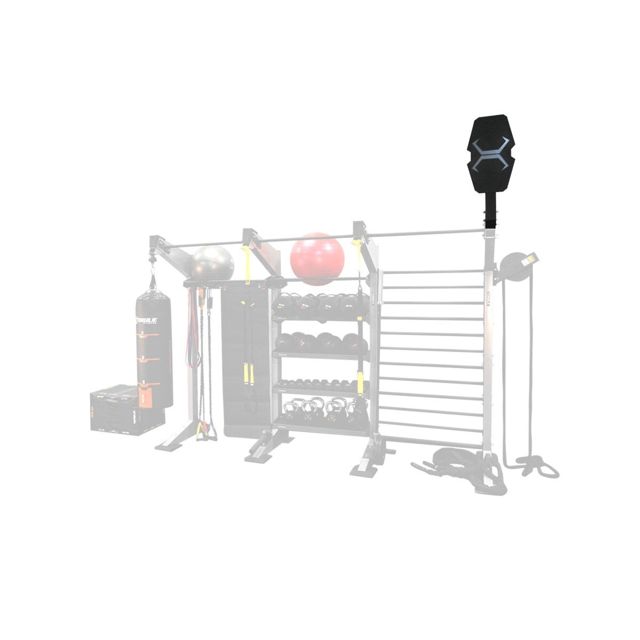 Torque Fitness X-CREATE Ball Target - Superior Health & Fitness Solutions